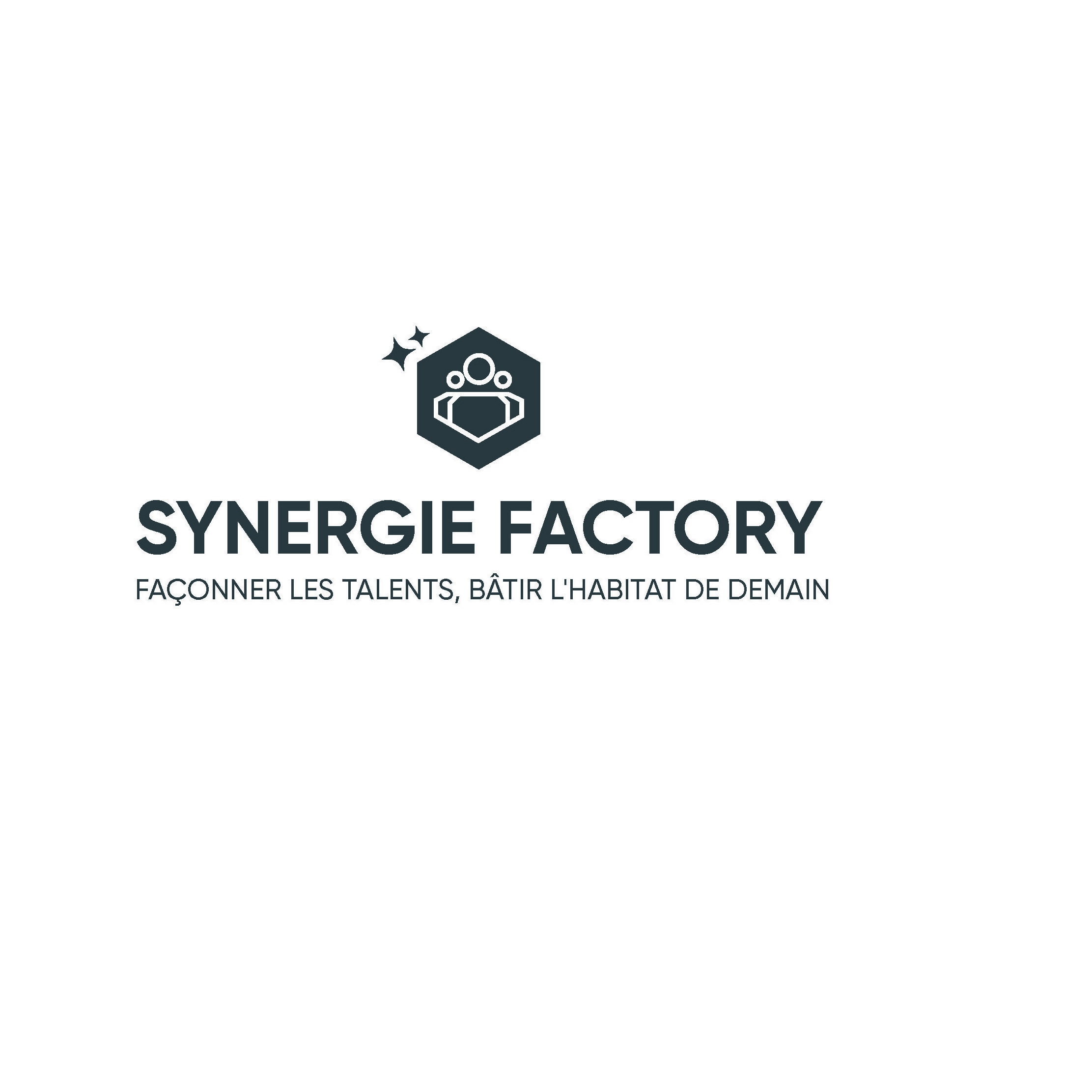 Logo-Synergie-Factory-CMJN-edited Qui sommes nous ?
